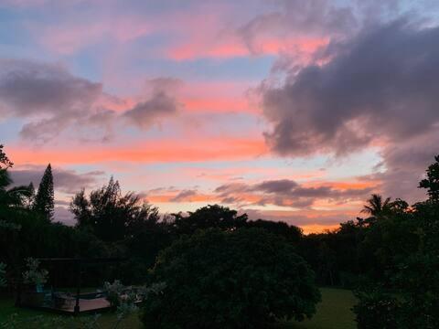 North Shore Garden Suite Haleiwa Esterno foto