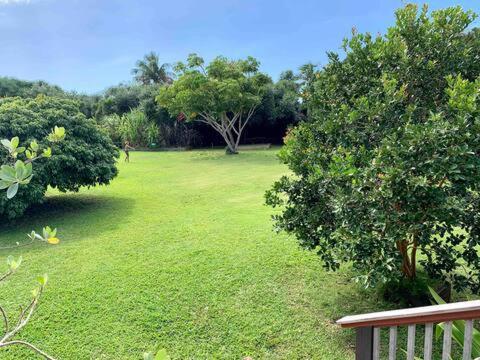 North Shore Garden Suite Haleiwa Esterno foto